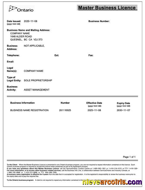 Canada Ontario master business licence